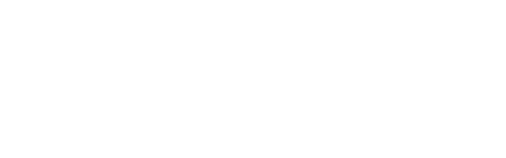 Nicole Riedl — Consulting & Care